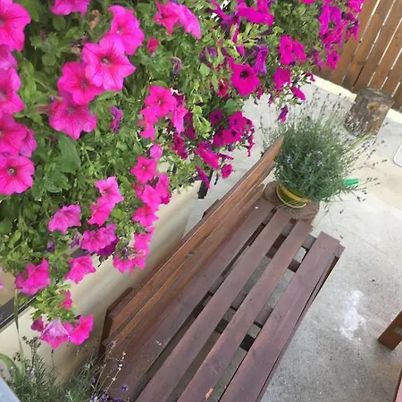 Apartament Centralna Grill & Fun Apartment