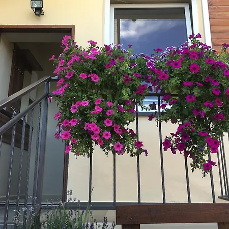 Apartament Centralna Grill & Fun Krakau