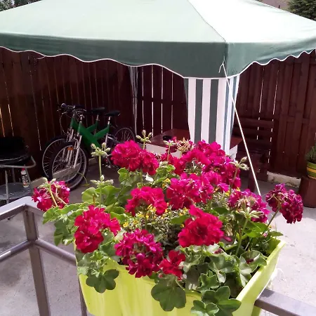 Apartament Centralna Grill&fun *