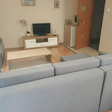 Apartament Centralna Grill & Fun Apartment