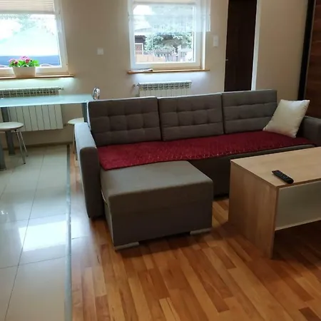 Apartament Centralna Grill & Fun Krakau