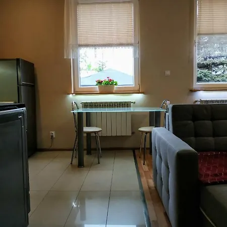 Apartament Centralna Grill & Fun Apartment Krakau
