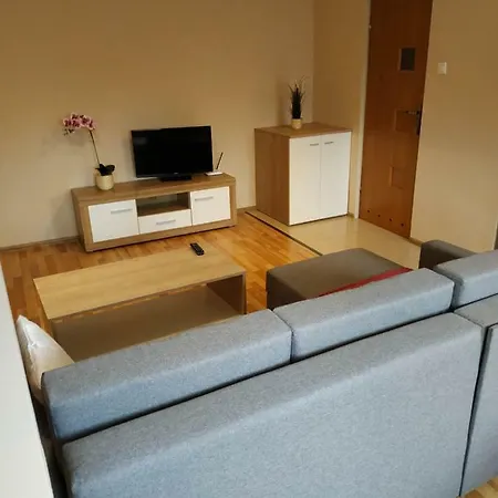 Apartament Centralna Grill&fun Apartament *