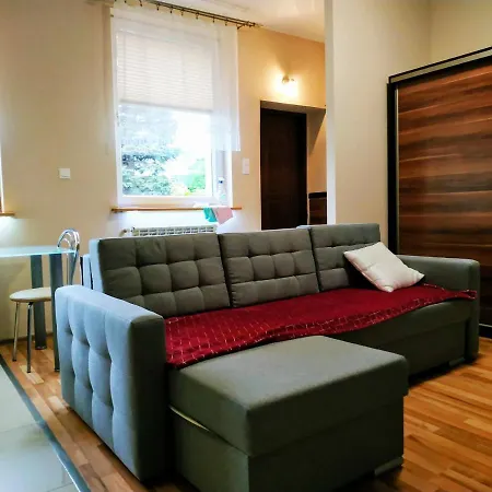 Apartament Centralna Grill&fun Apartament *