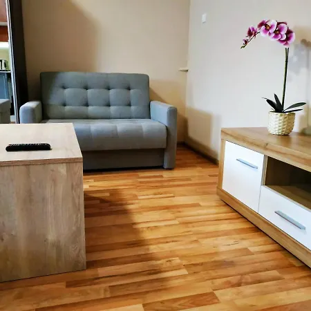 Апартаменты Apartament Centralna Grill & Fun Краков