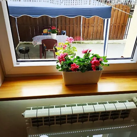Апартаменты Apartament Centralna Grill & Fun